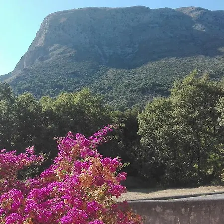 Degli Aranci Ξενοδοχείο Maratea