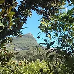 Degli Aranci 3* Maratea