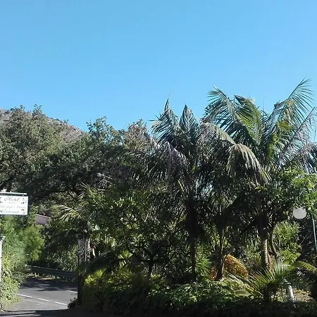 迪格利阿兰斯别墅酒店​​ 酒店