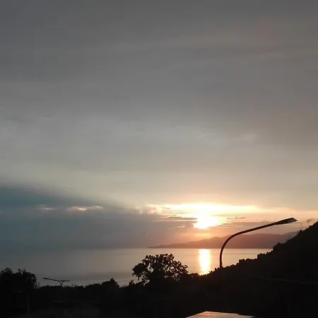 Degli Aranci